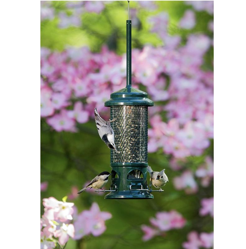 Squirrel Buster Standard Wild Bird Feeder 1.3lb