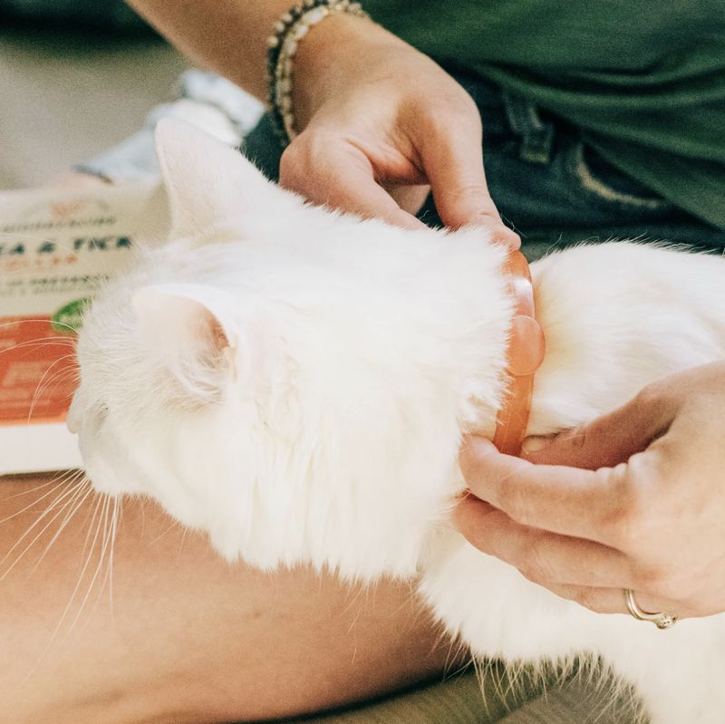 Wondercide Cat Flea &amp; Tick Peppermint Collar