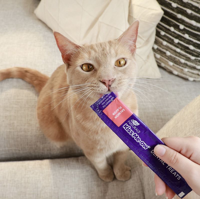 Ark Naturals Cat Kiss Me-Ow Salmon Lickable Dental Treat 4pk 2oz