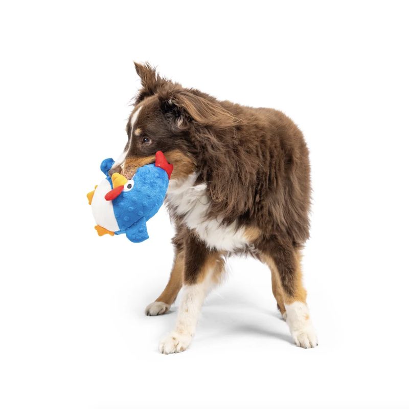 Huxley &amp; Kent Dog Pudgies Chicken Gordon Bleu