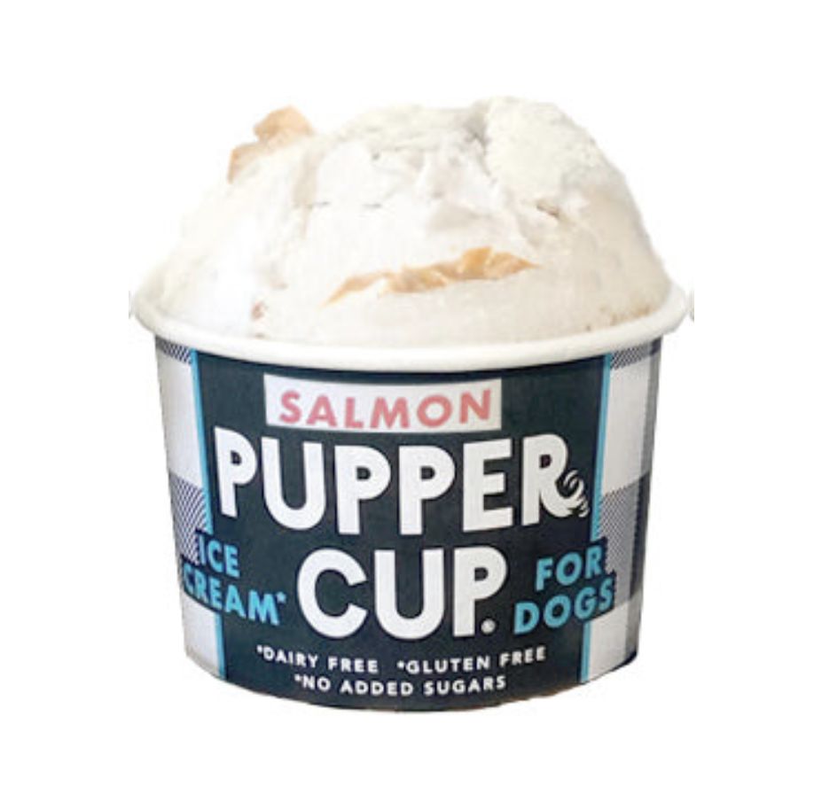 Pupper Cup Dog Ice Cream Salmon 3oz