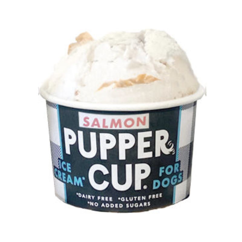 Pupper Cup Dog Ice Cream Salmon 3oz
