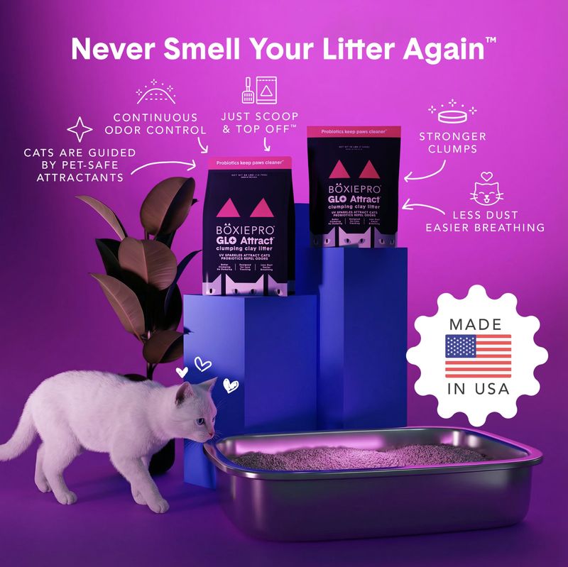 BoxieCat Pro Glo Attract Clumping Clay Litter 16lb