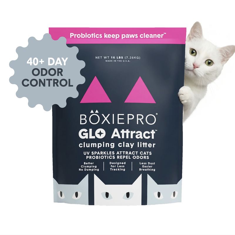 BoxieCat Pro Glo Attract Clumping Clay Litter 16lb