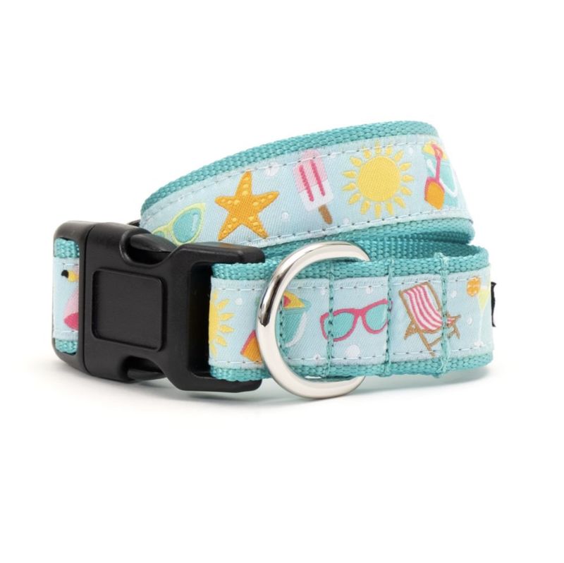 The Worthy Dog Collar &amp; Lead Collection