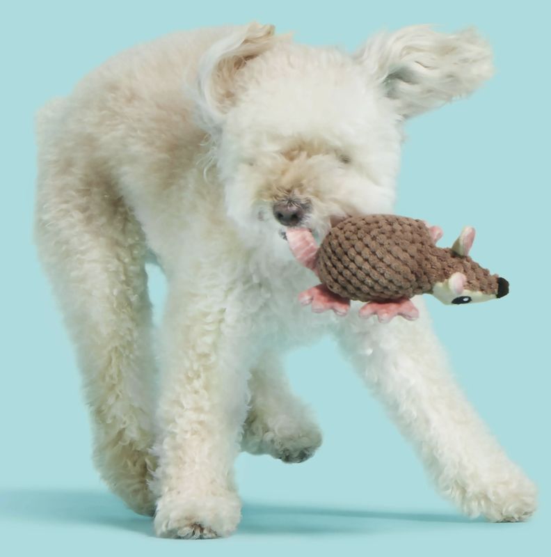 BARK Dog Armie Dillo Push Toy
