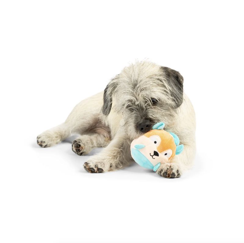 Huxley &amp; Kent Dog Tiny Tuff Nutty Buddy