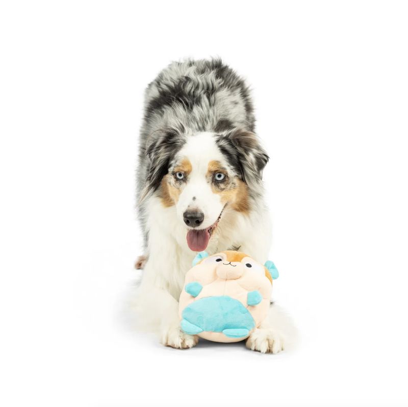 Huxley &amp; Kent Dog Pudgies Nutty Buddy