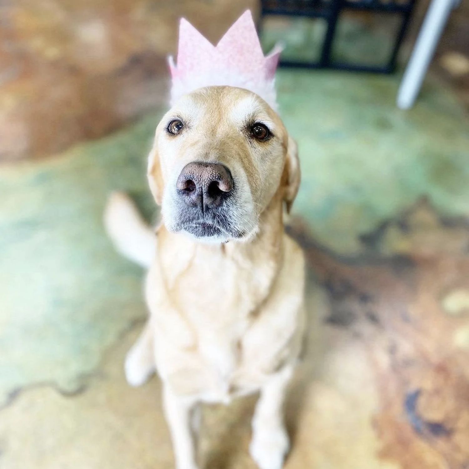 Huxley &amp; Kent Party Crowns with SnugFit, Color: Pink, Size: Small
