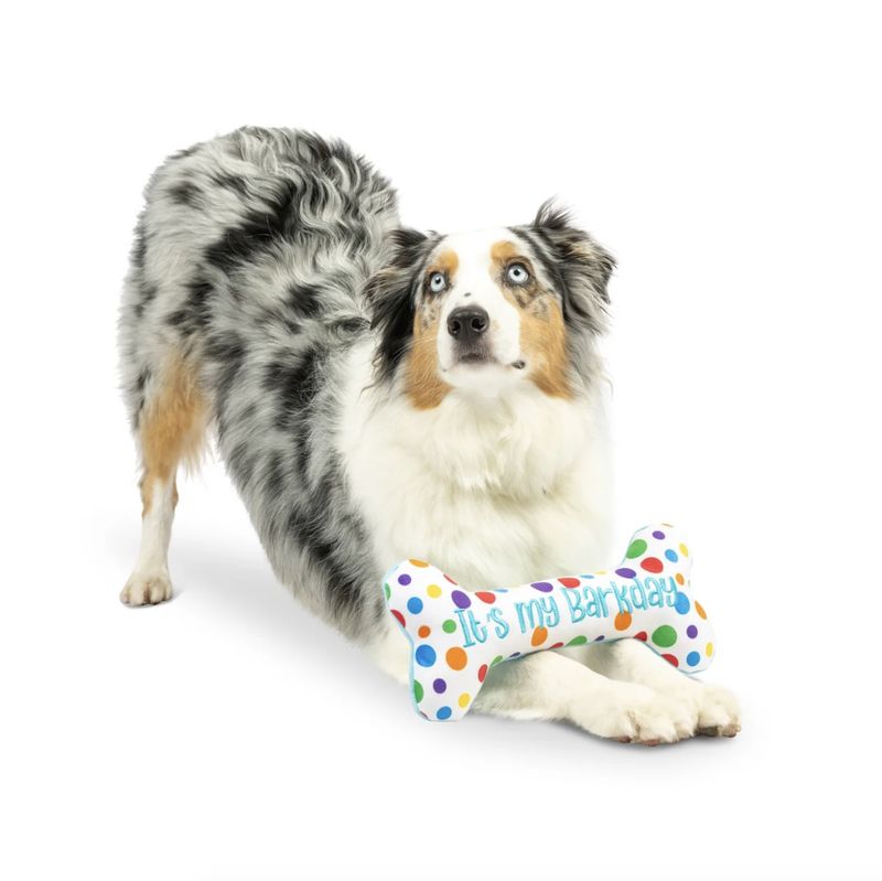 Huxley &amp; Kent Dog It's My Barkday Bone