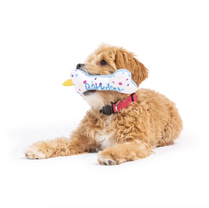 Huxley &amp; Kent Dog Tiny Tuff It's My Barkday Bone
