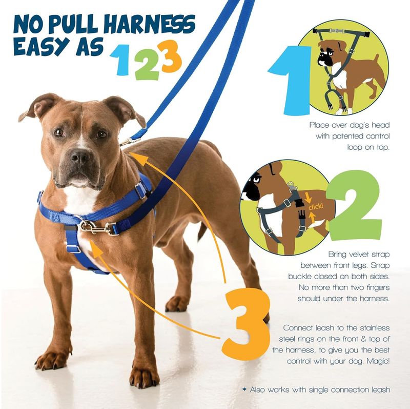 2 Hounds Design Freedom No Pull Dog Harness