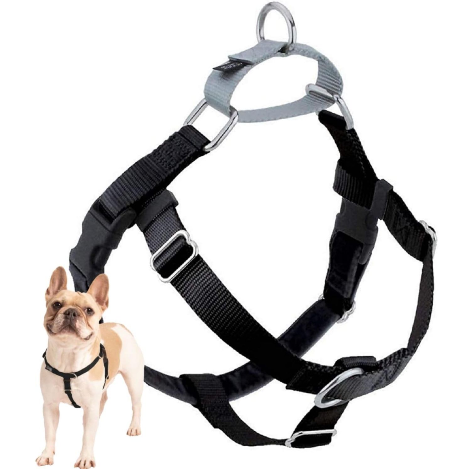 2 Hounds Design Freedom No Pull Dog Harness, Color: Black, Size: 5/8'' Small