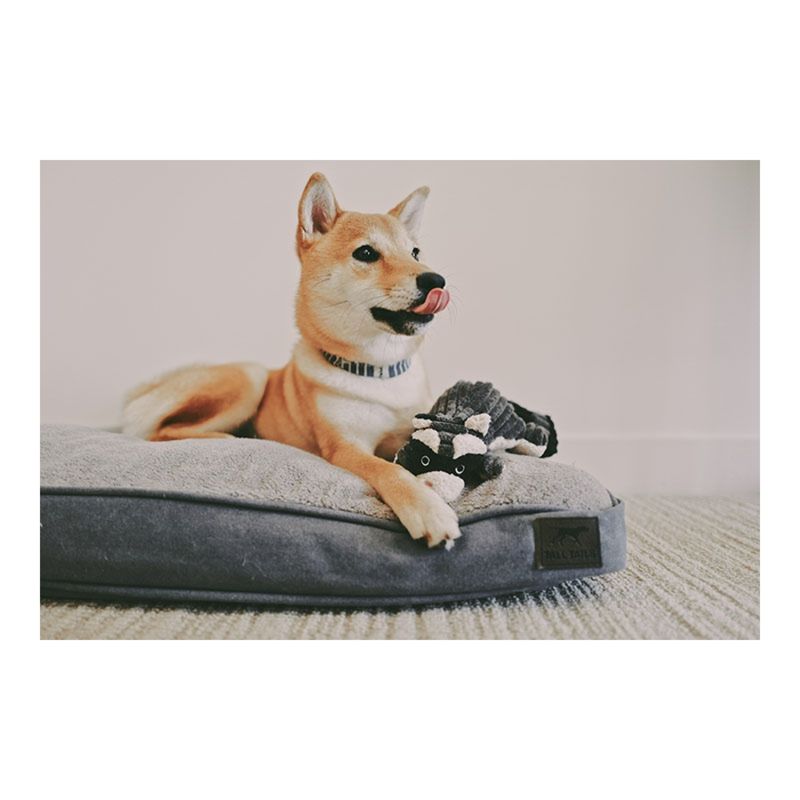 Tall Tails Dog &amp; Cat Cushion Bed Gray