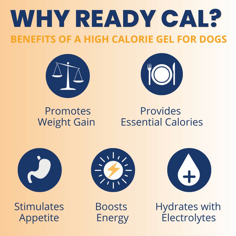 Under the Weather Dog Ready Cal PLUS Electrolytes 3.5oz