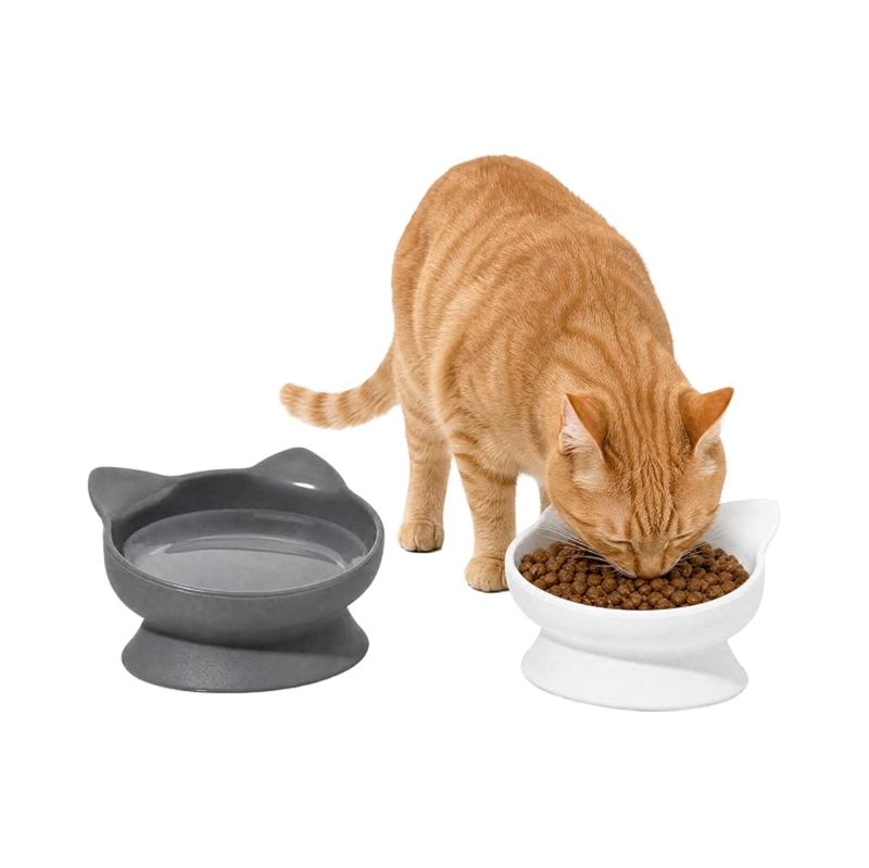 Kitty City Raised Cat Ear Bowl Set Gray &amp; White 2 Pack 6.5oz
