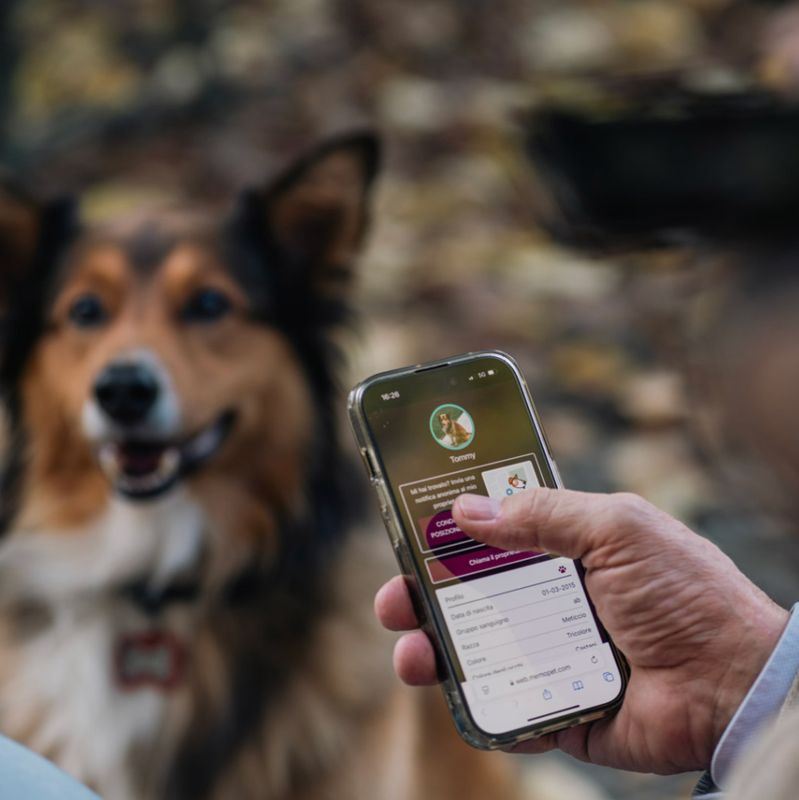 My Family Dog Tag Hushtag Plus QR Code Circle with Rubber