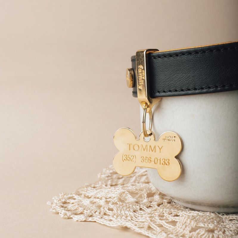 My Family Dog Tag Basic Bone
