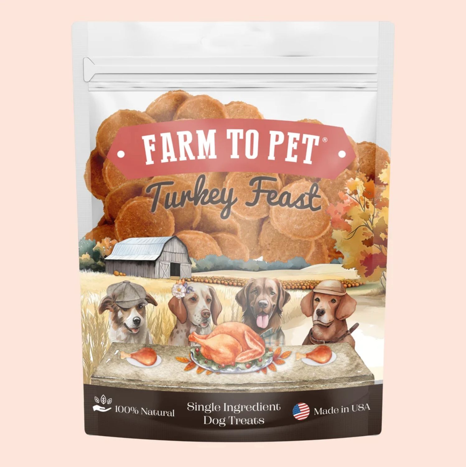 Farm To Pet Dog Turkey Feast Thanksgiving Chips 12oz