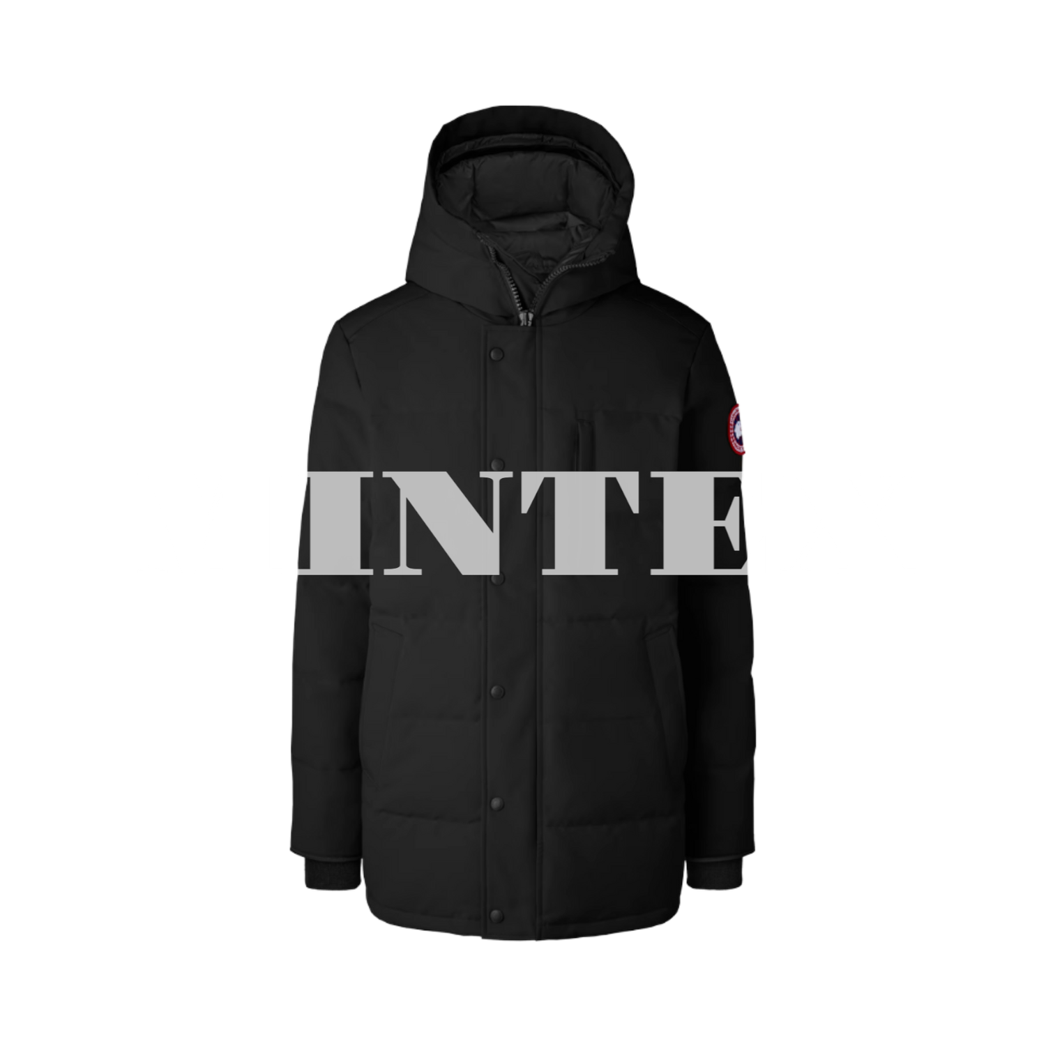 CG Winter Jacket