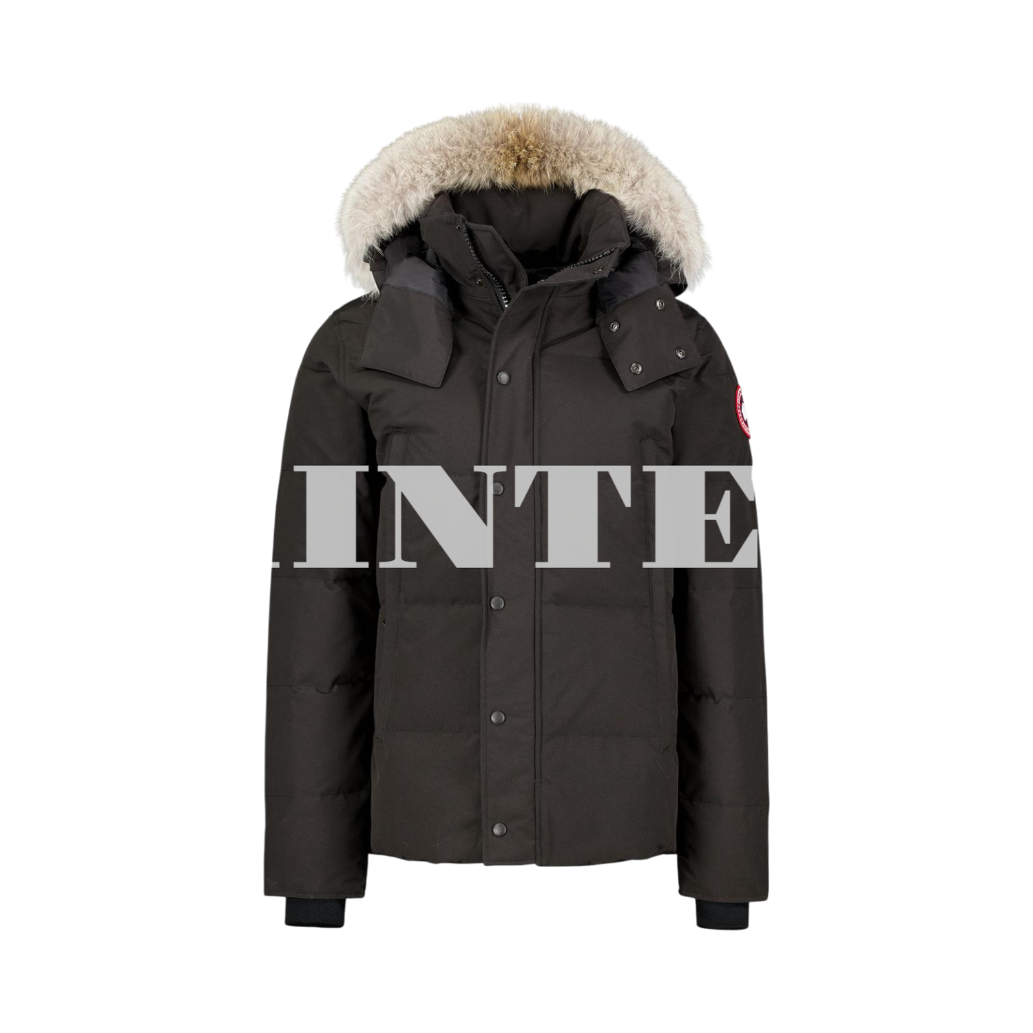 CG Winter Jacket