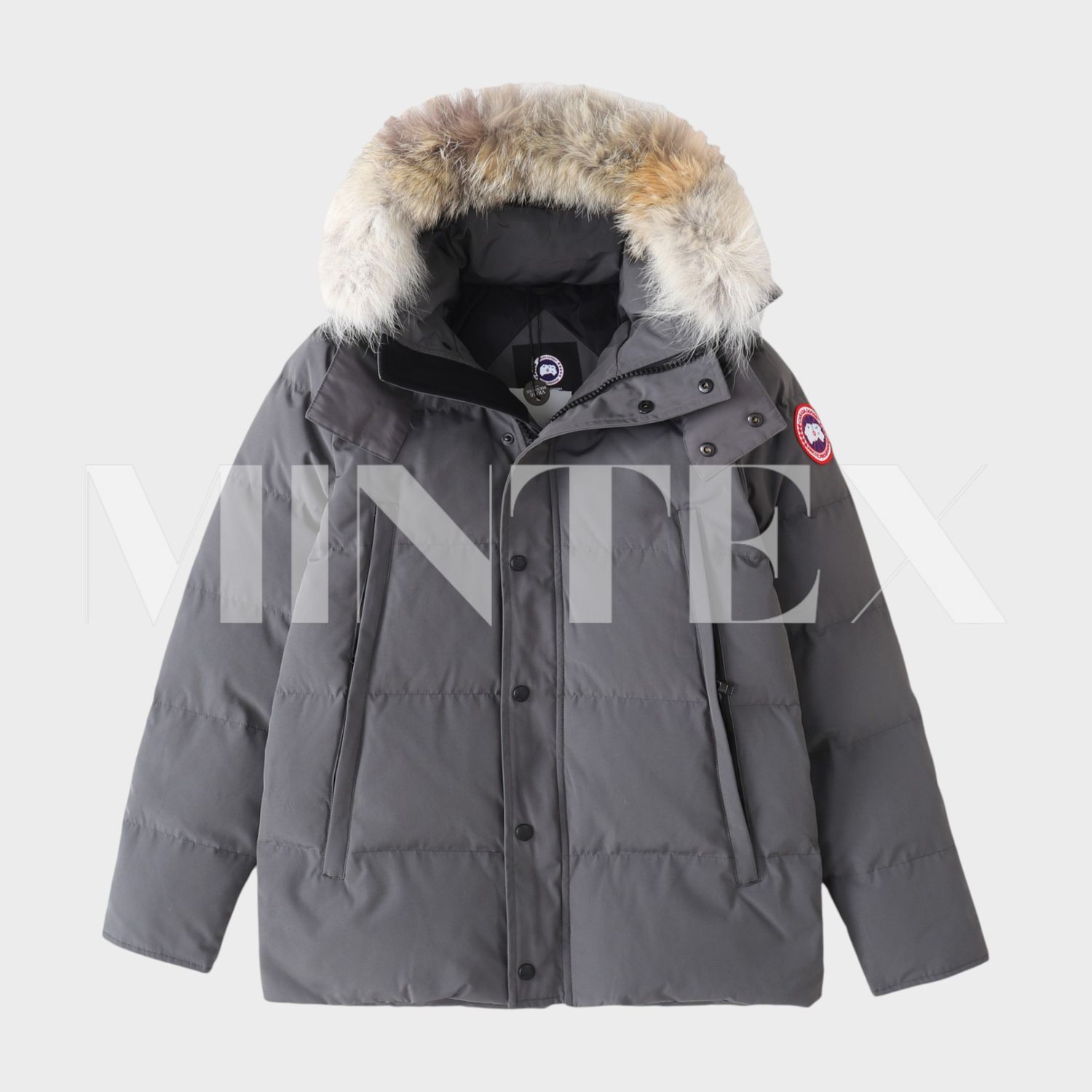 CG Winter Jacket
