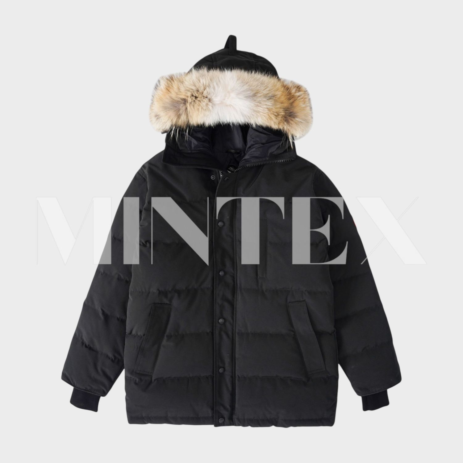 CG Winter Jacket