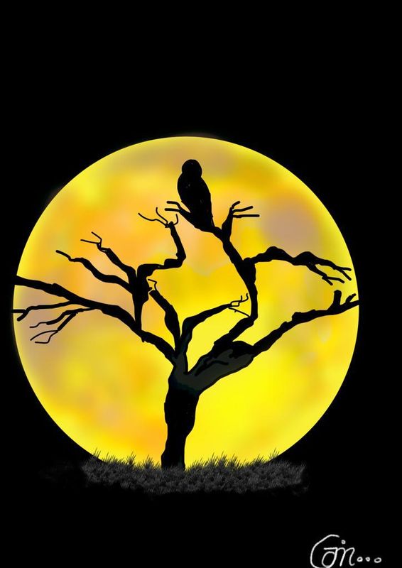 ​Handcrafted Digital Portrait – Mystical Moonlit Owl Perch 🌙🦉