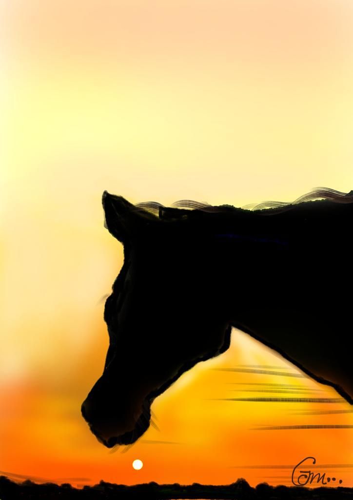 ​Handcrafted Digital Portrait – Majestic Horse at Sunset 🌅🐴