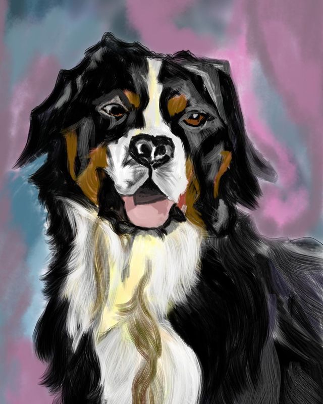 ​Handcrafted Digital Portrait – Majestic Bernese Mountain Dog 🐶✨