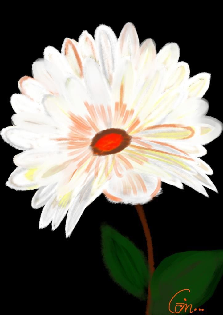 ​Handcrafted Digital Portrait – Radiant Blossom in Contrast 🌺✨