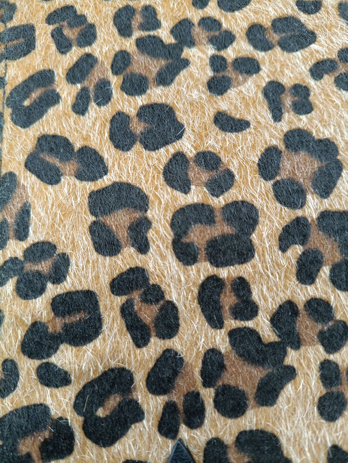 Cinturón animal print