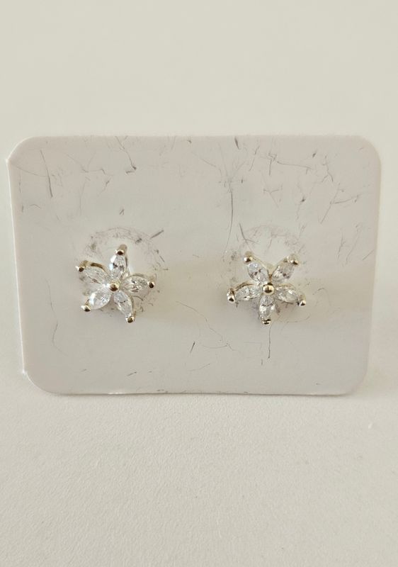 Earring ai46