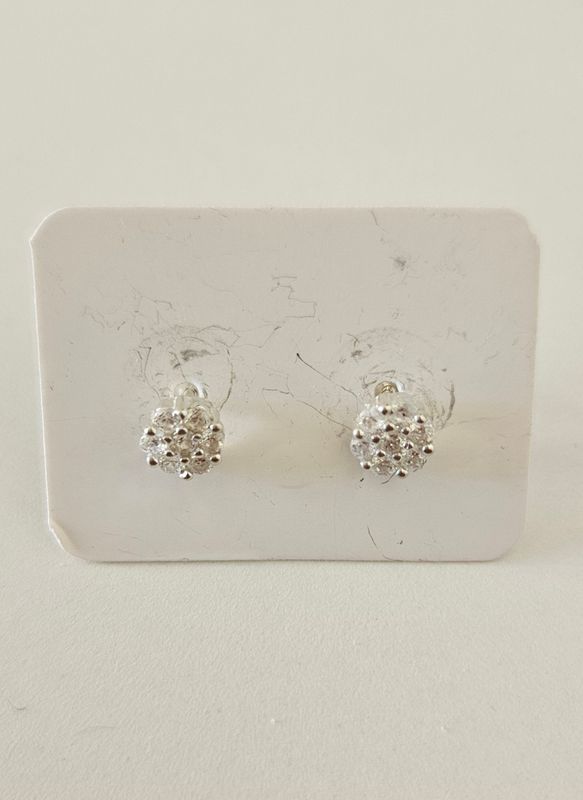 Earring ai25