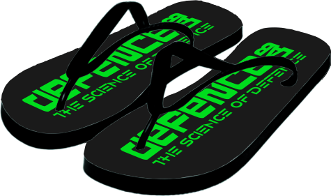DL Flip Flops