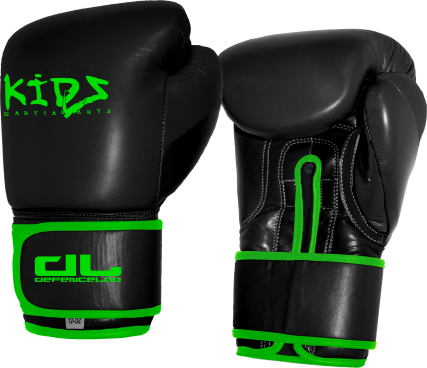 DL KIDS Boxing Gloves
