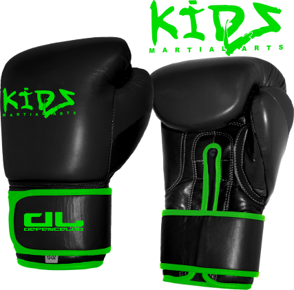 DL KIDS Boxing Gloves (CLEARANCE)