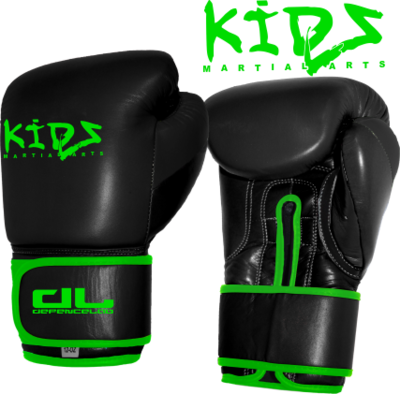 DL KIDS Boxing Gloves (CLEARANCE) DL KIDS Boxing Gloves (CLEARANCE)