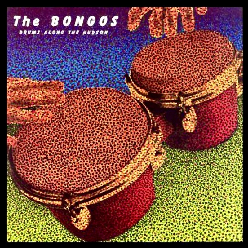 The Bongos - Drums Along the Hudson - Deluxe CD