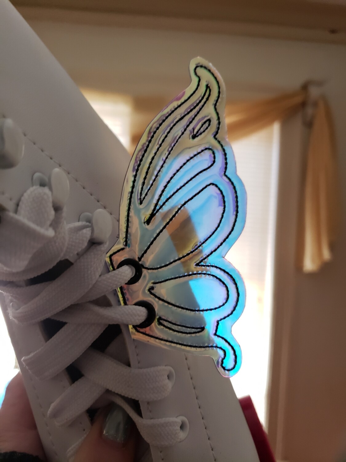 Butterfly transparent shoe wings