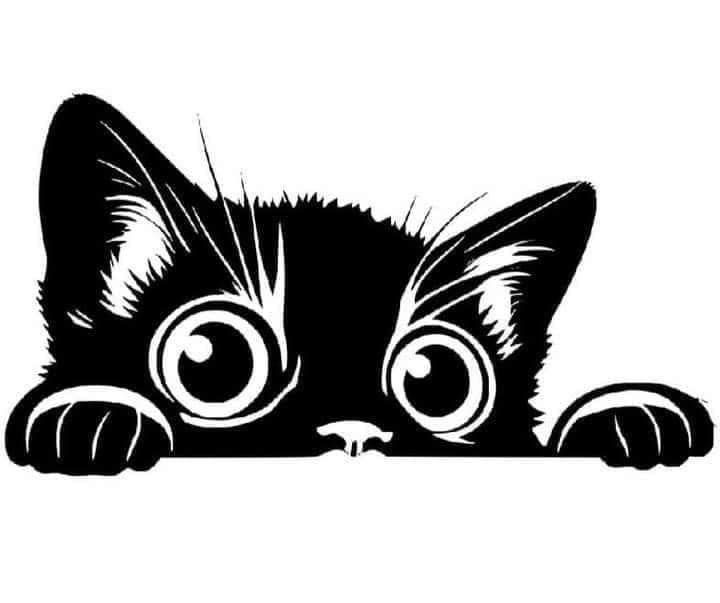 Cute Cat Iron on heat transfer