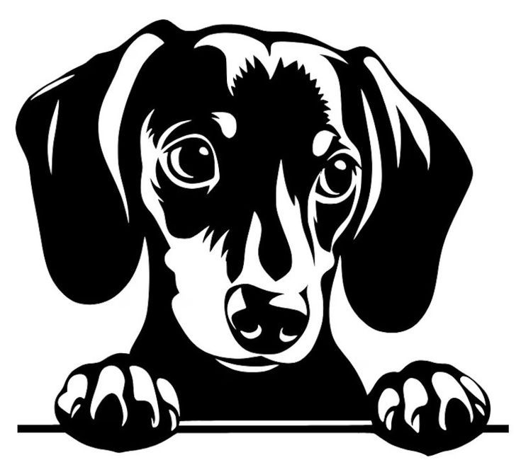 Little Dog Iron on heat transfer