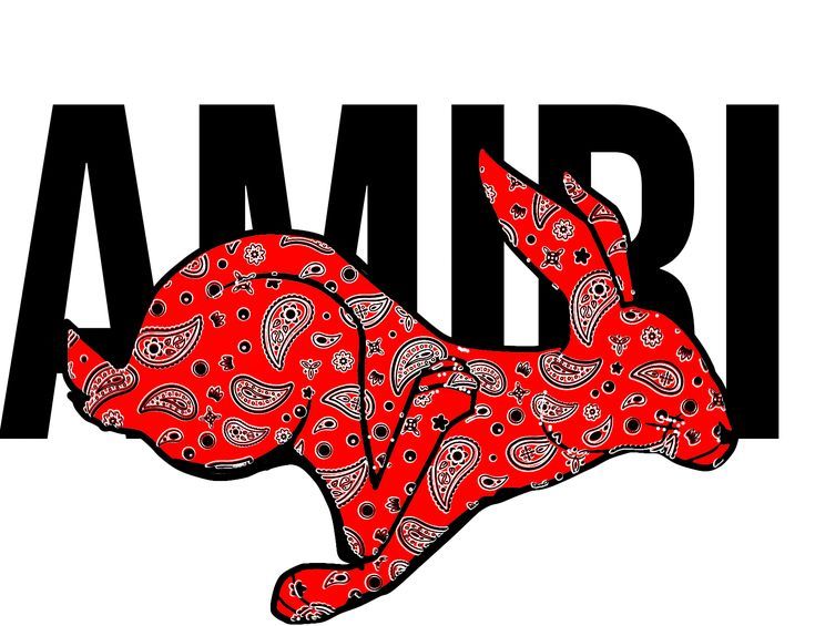 Amiri Iron-On Patch – Full-Color Print