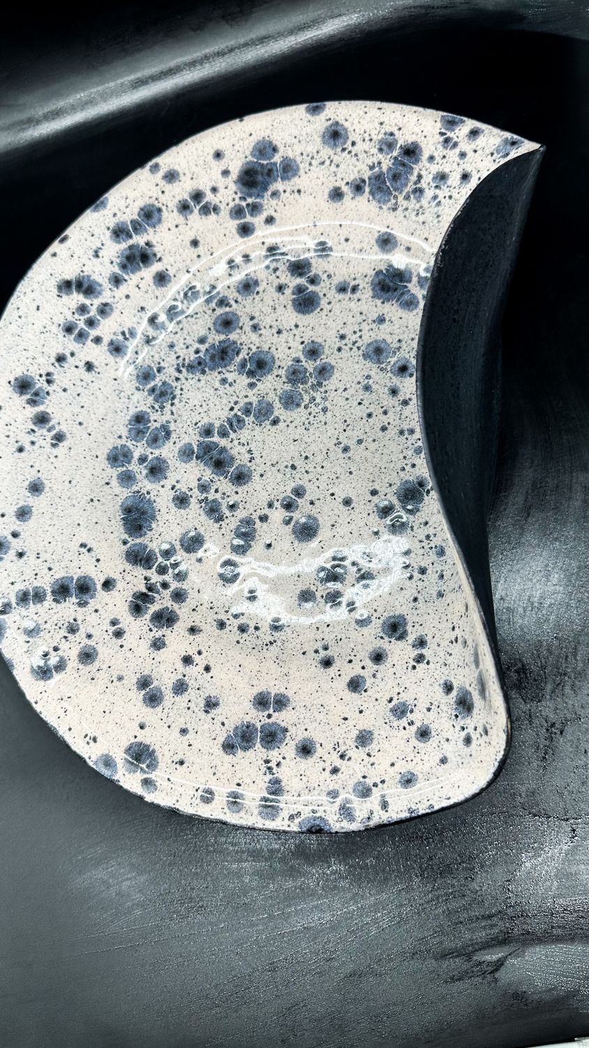 Patera Manu Moon Dalmatin Grey