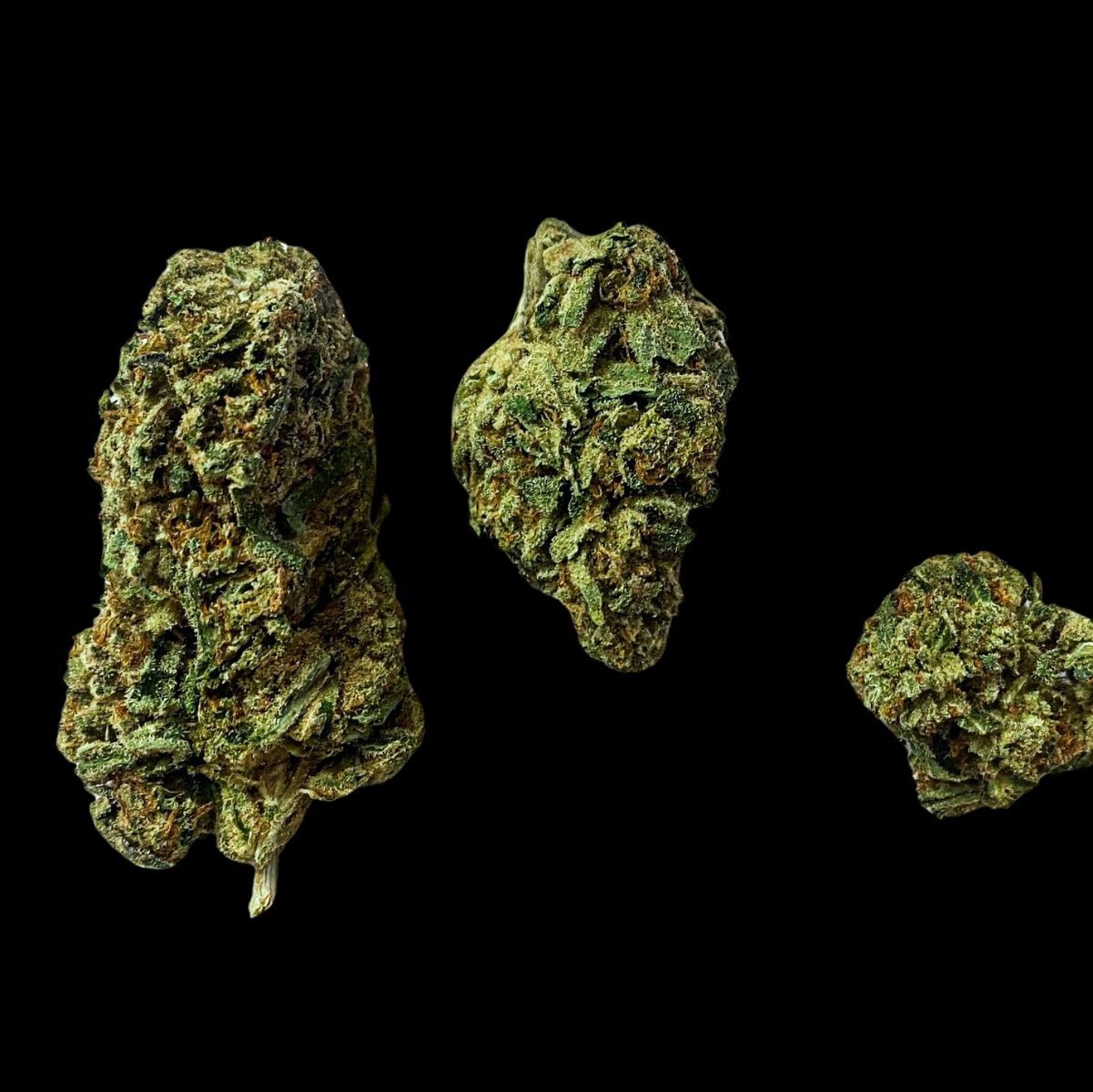 Gelato 41 (Hybrid)
