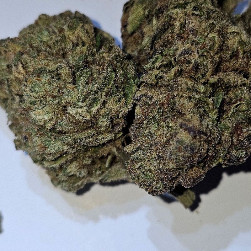 Watermelon Runtz (Indica)