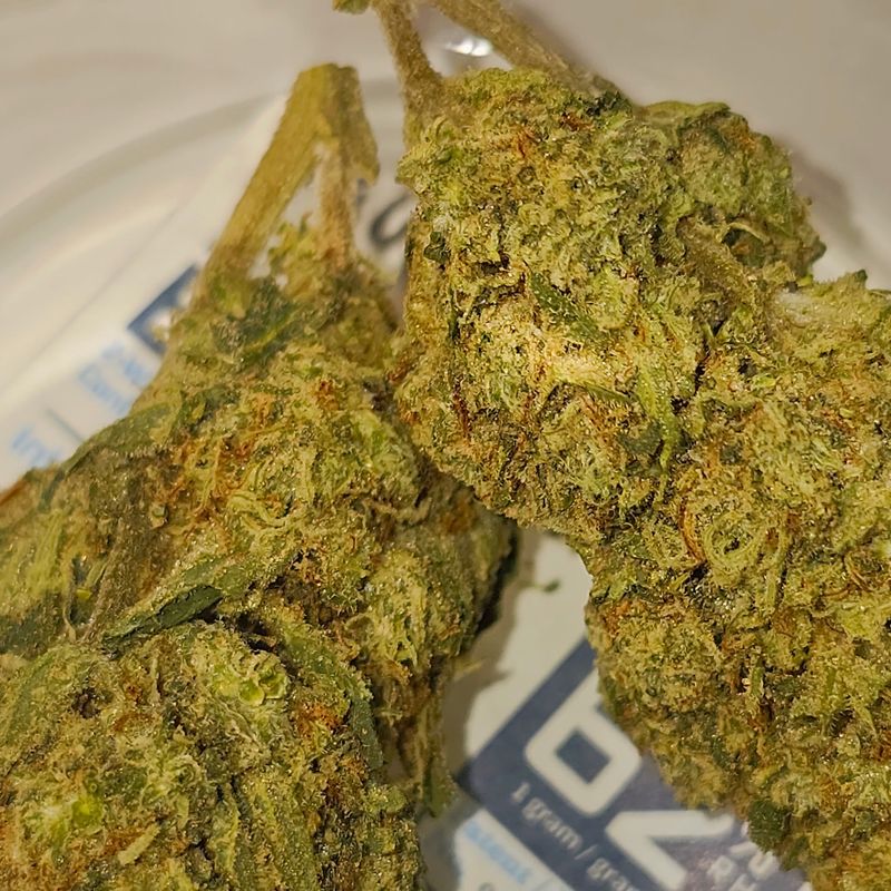 Gelato Cake (Indica)