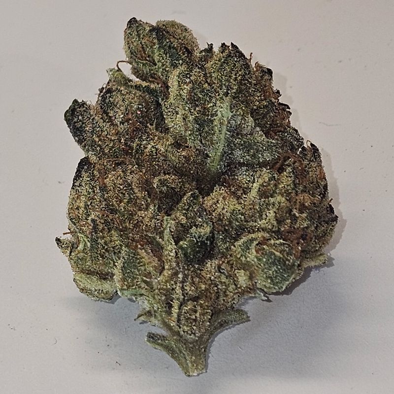 Strawberry Shortcake (Indica)