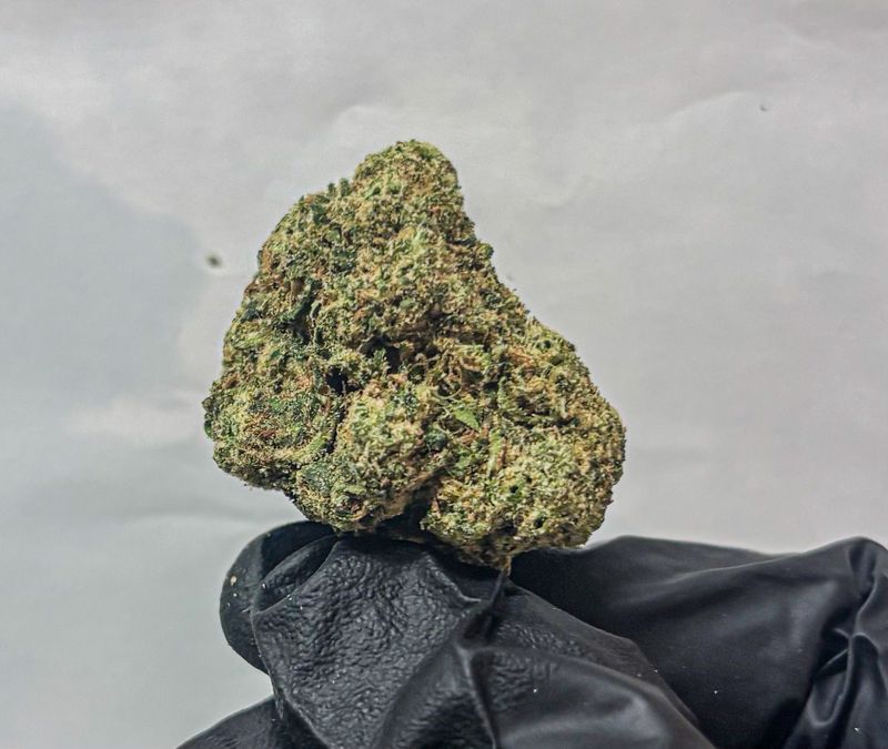 Frosted Runtz (Hybrid)