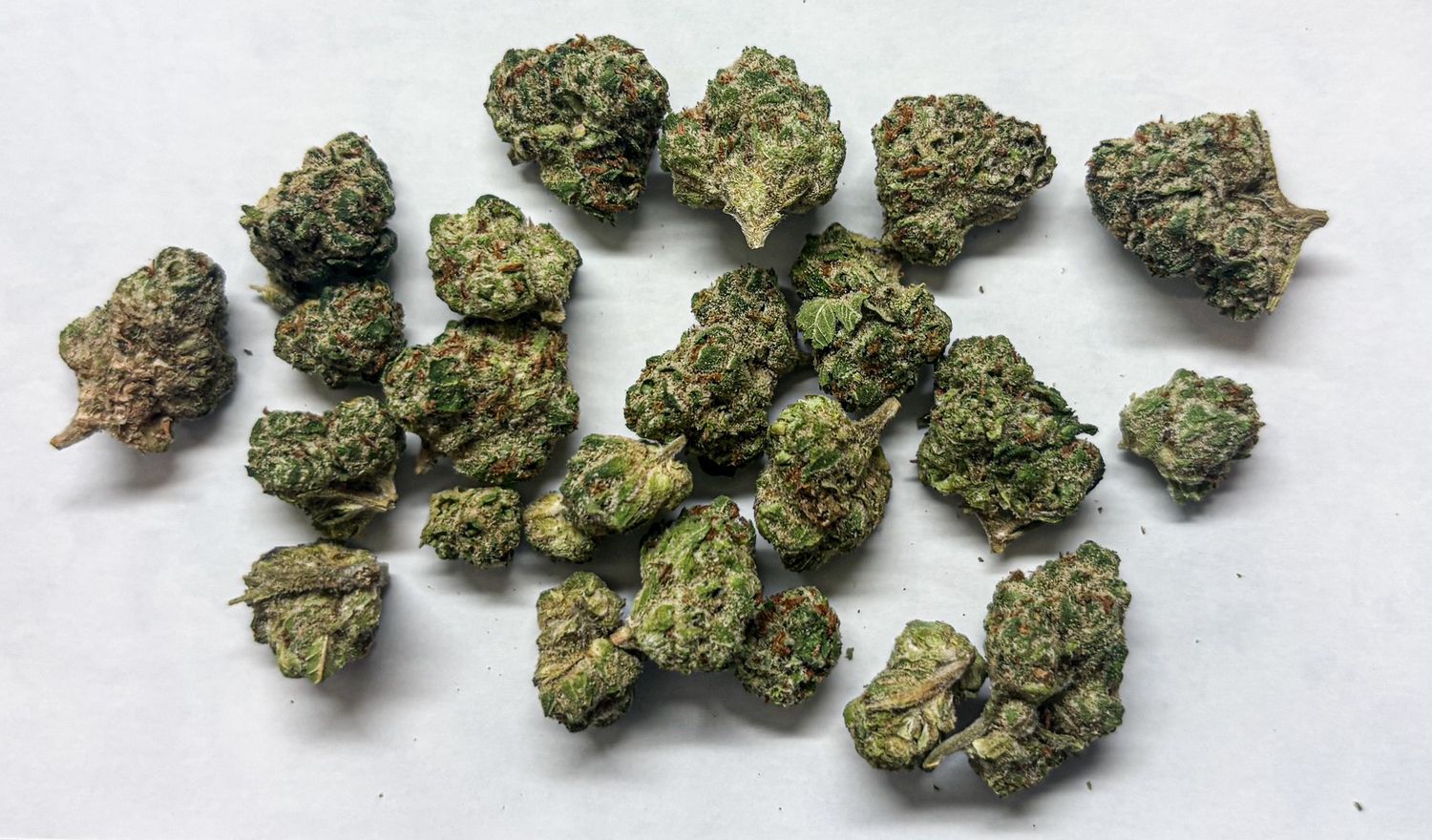 Permanent Marker (Indica)